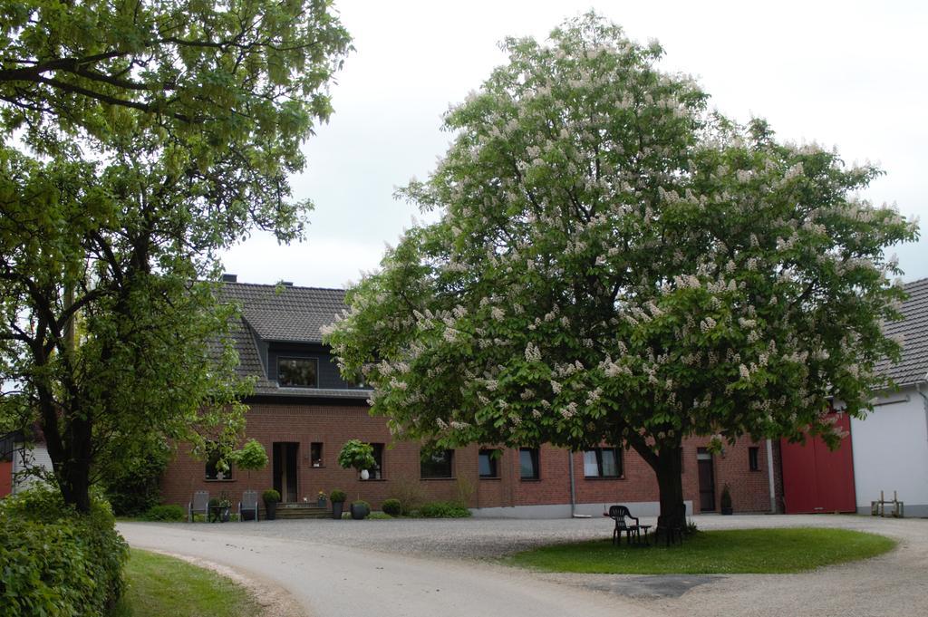 Hardthof - Huertgenwald Apartment ภายนอก รูปภาพ